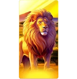 Lion
Safari